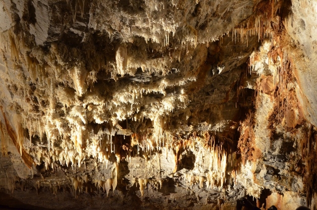 Cuevas milenarias 